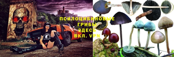соль ск Алексин