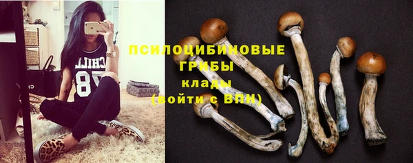 ПСИЛОЦИБИНОВЫЕ ГРИБЫ Алзамай