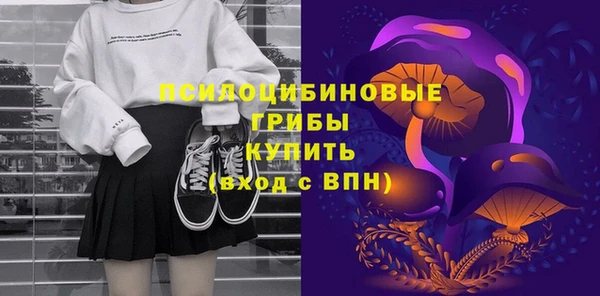 ПСИЛОЦИБИНОВЫЕ ГРИБЫ Алзамай