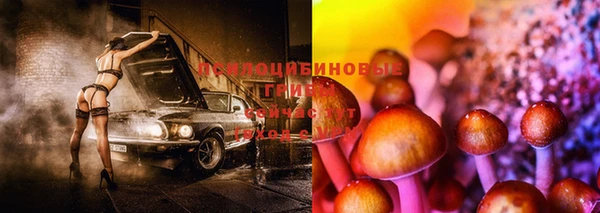 соль ск Алексин