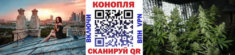 купить  цена  Микунь  Шишки марихуана план 